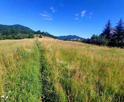 Pozemky - komerční, prodej, Žarnovica, Slovensko