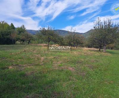 Prodej Pozemky - bydlení, Žarnovica, Slovensko