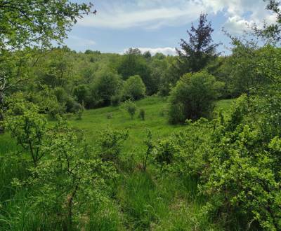 Prodej Pozemky - bydlení, Pozemky - bydlení, Martin, Slovensko