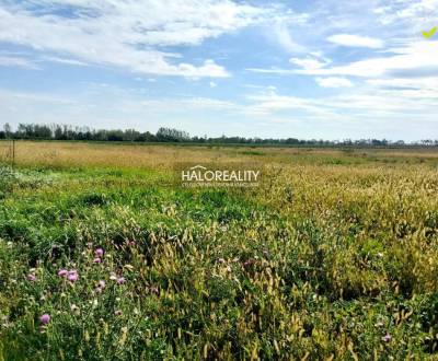 Prodej Pozemky - bydlení, Nitra, Slovensko