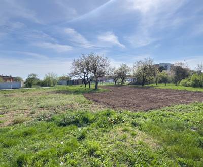 Prodej Zemědělské a lesní, Zemědělské a lesní, Grobská, Senec, Slovens