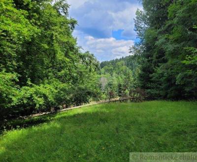 Prodej Pozemky - rekreace, Pozemky - rekreace, Púchov, Slovensko