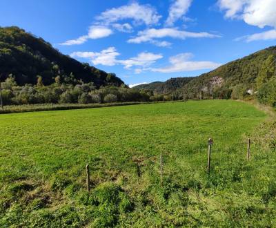 Prodej Zemědělské a lesní, Zemědělské a lesní, Žiar nad Hronom, Sloven