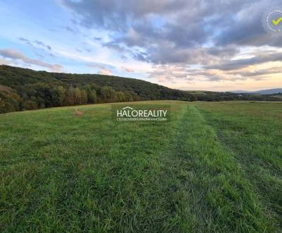 Prodej Pozemky - bydlení, Prievidza, Slovensko