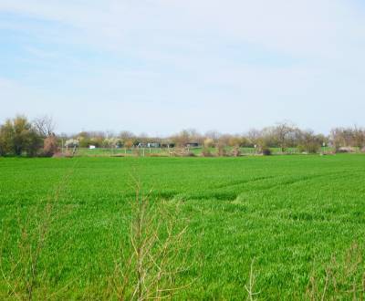 Prodej Pozemky - komerční, Pozemky - komerční, Zavarská, Trnava, Slove