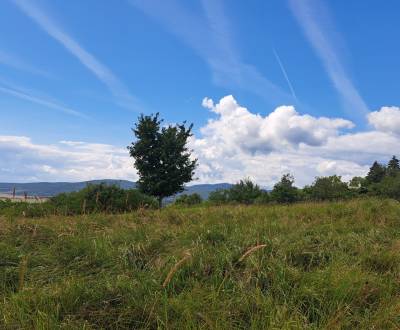 Prodej Pozemky - rekreace, Pozemky - rekreace, Horné Jabloňovce, Levic