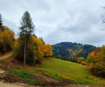 Prodej Pozemky - rekreace, Pozemky - rekreace, Veľké Rovné, Bytča, Slo