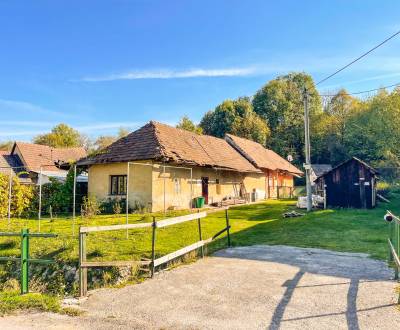 Prodej Pozemky - bydlení, Pozemky - bydlení, Trenčín, Slovensko