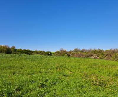 Prodej Pozemky - rekreace, Pozemky - rekreace, Dolné Žemberovce, Levic