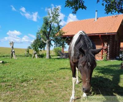 Prodej Chata, Chata, Krupina, Slovensko