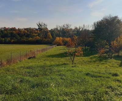 Prodej Pozemky - bydlení, Pozemky - bydlení, Vranov nad Topľou, Sloven