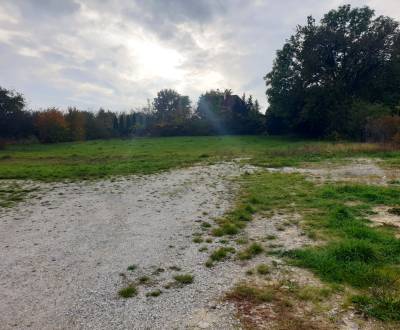 Prodej Pozemky - bydlení, Pozemky - bydlení, Mýtna, Nové Mesto nad Váh