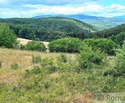 Prodej Zemědělské a lesní, Zemědělské a lesní, Lučenec, Slovensko