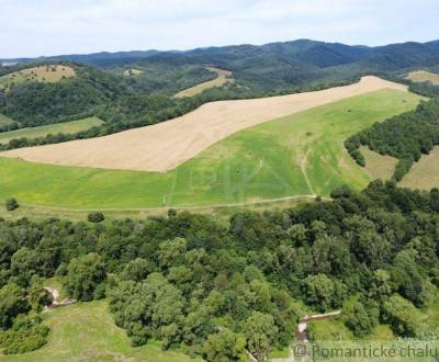 Prodej Zemědělské a lesní, Zemědělské a lesní, Snina, Slovensko