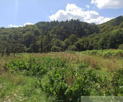 Prodej Pozemky - bydlení, Pozemky - bydlení, Snina, Slovensko