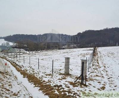 Prodej Zemědělské a lesní, Zemědělské a lesní, Svidník, Slovensko