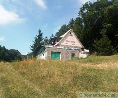 Prodej Chata, Chata, Nové Mesto nad Váhom, Slovensko