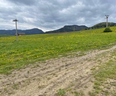 Prodej Pozemky - bydlení, Pozemky - bydlení, Babicovská, Dolný Kubín, 