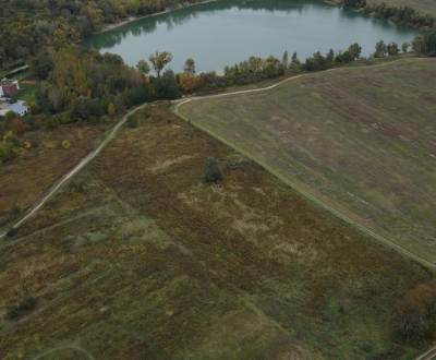 Prodej Zemědělské a lesní, Zemědělské a lesní, Hviezdoslavova, Senec, 