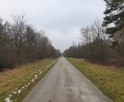 Prodej Zemědělské a lesní, Zemědělské a lesní, Pezinok, Slovensko