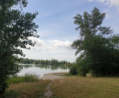 Prodej Zemědělské a lesní, Zemědělské a lesní, Hviezdoslavova, Senec, 