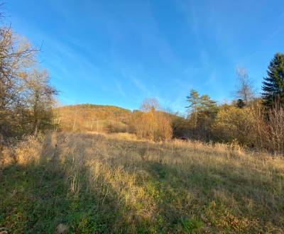 Prodej Pozemky - bydlení, Pozemky - bydlení, Dohňany, Púchov, Slovensk