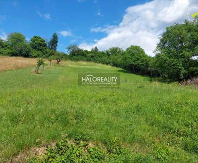 Prodej Pozemky - bydlení, Prievidza, Slovensko