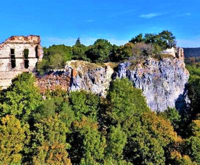 Prodej Pozemky - rekreace, Pozemky - rekreace, Borinka, Malacky, Slove