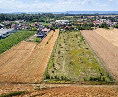 Prodej Pozemky - bydlení, Pozemky - bydlení, Senecká, Senec, Slovensko