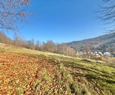 Prodej Pozemky - rekreace, Pozemky - rekreace, Oščadnica, Čadca, Slove