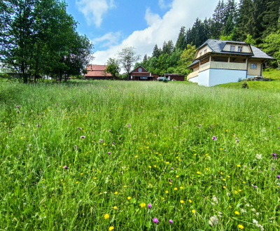 Prodej Pozemky - rekreace, Pozemky - rekreace, Čadca, Slovensko