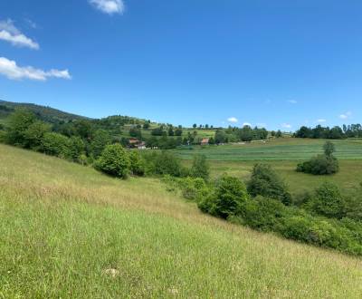 Prodej Pozemky - bydlení, Pozemky - bydlení, Detva, Slovensko