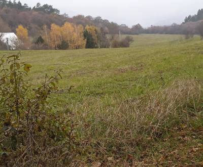 Prodej Pozemky - rekreace, Pozemky - rekreace, Hrnčiarové - Lubina, No