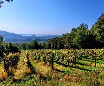 Prodej Vinice, Vinice, Michalovce, Slovensko