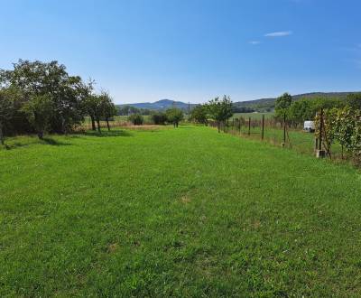 Prodej Pozemky - bydlení, Pozemky - bydlení, Doľany, Pezinok, Slovensk