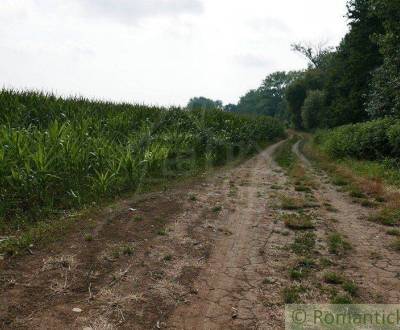 Prodej Zemědělské a lesní, Zemědělské a lesní, Pezinok, Slovensko