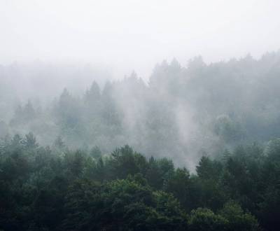 Prodej Zemědělské a lesní, Zemědělské a lesní, Púchov, Slovensko