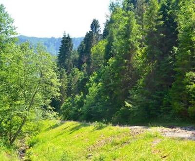 Prodej Zemědělské a lesní, Zemědělské a lesní, Gelnica, Slovensko