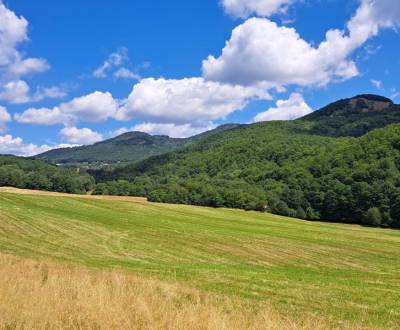 Prodej Zemědělské a lesní, Zemědělské a lesní, Bardejov, Slovensko