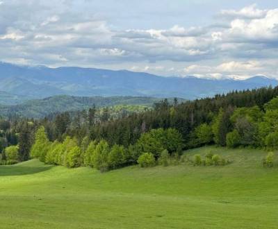 Prodej Zemědělské a lesní, Zemědělské a lesní, Banská Bystrica, Sloven