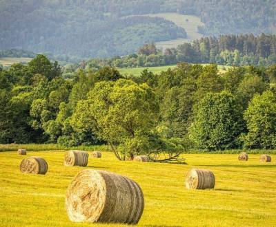 Prodej Zemědělské a lesní, Zemědělské a lesní, Revúca, Slovensko