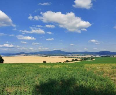 Prodej Zemědělské a lesní, Zemědělské a lesní, Topoľčany, Slovensko