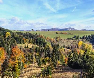 Prodej Zemědělské a lesní, Zemědělské a lesní, Žilina, Slovensko