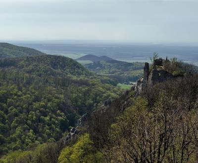 Prodej Zemědělské a lesní, Zemědělské a lesní, Ilava, Slovensko