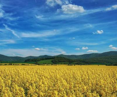 Prodej Zemědělské a lesní, Zemědělské a lesní, Nitra, Slovensko