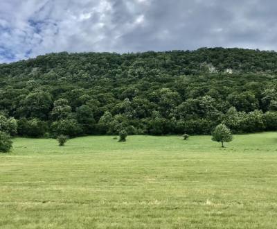 Prodej Zemědělské a lesní, Zemědělské a lesní, Rožňava, Slovensko