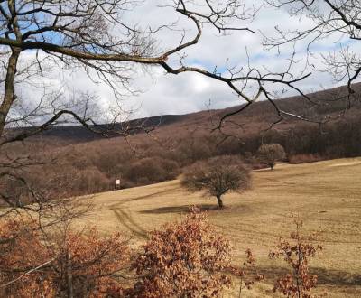 Prodej Zemědělské a lesní, Zemědělské a lesní, Svidník, Slovensko