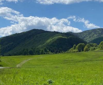 Prodej Zemědělské a lesní, Zemědělské a lesní, Stará Ľubovňa, Slovensk