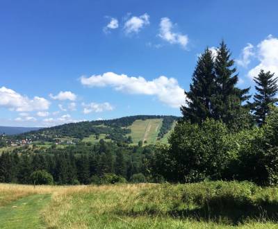 Prodej Zemědělské a lesní, Zemědělské a lesní, Svidník, Slovensko