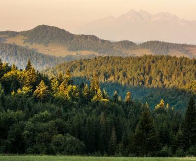 Prodej Zemědělské a lesní, Zemědělské a lesní, Svidník, Slovensko